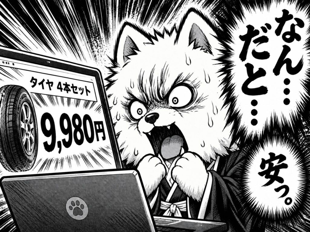 RADAR RPX800+の価格の安さに驚くさも